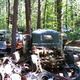 Illustration for article titled Massive Secret Mustang Junkyard Found In Rhode Island Forest